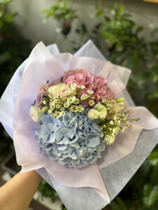 Hydrangea hand bouquet